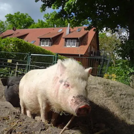 Ramakers Hof Apartament *