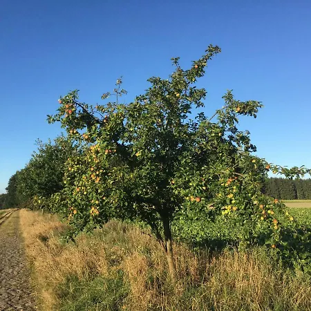 Ramakers Hof Apartament Kirchlinteln