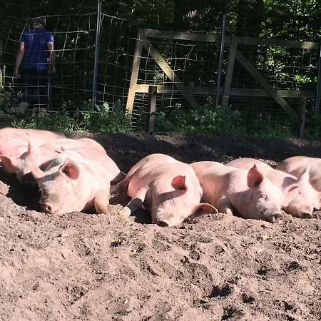 Ramakers Hof Apartament Kirchlinteln