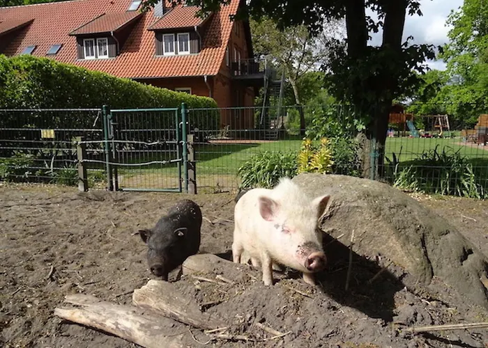 Ramakers Hof Kirchlinteln