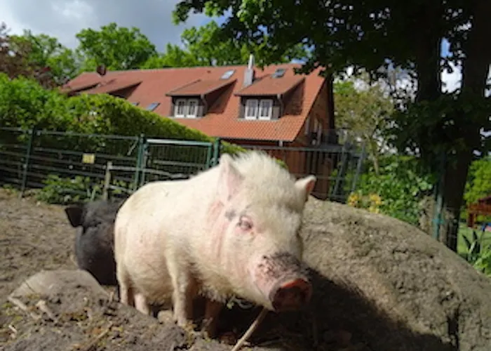 Ramakers Hof 公寓 *