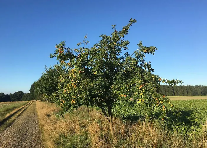 Ramakers Hof 公寓 Kirchlinteln