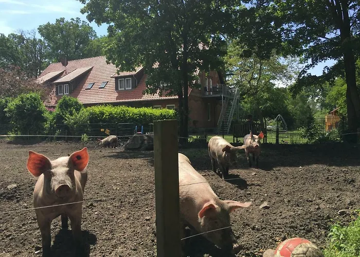 Ramakers Hof 公寓 *