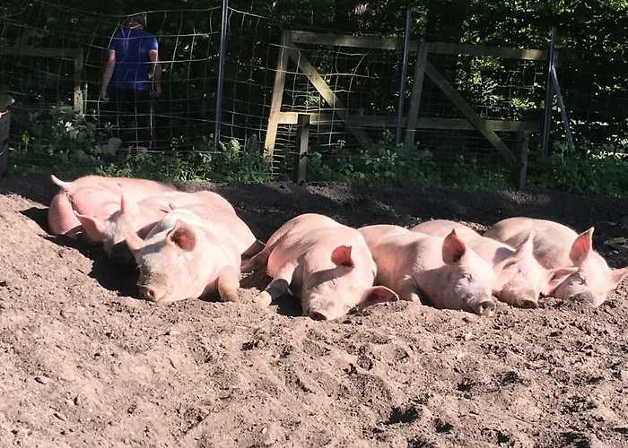 Ramakers Hof 公寓 Kirchlinteln